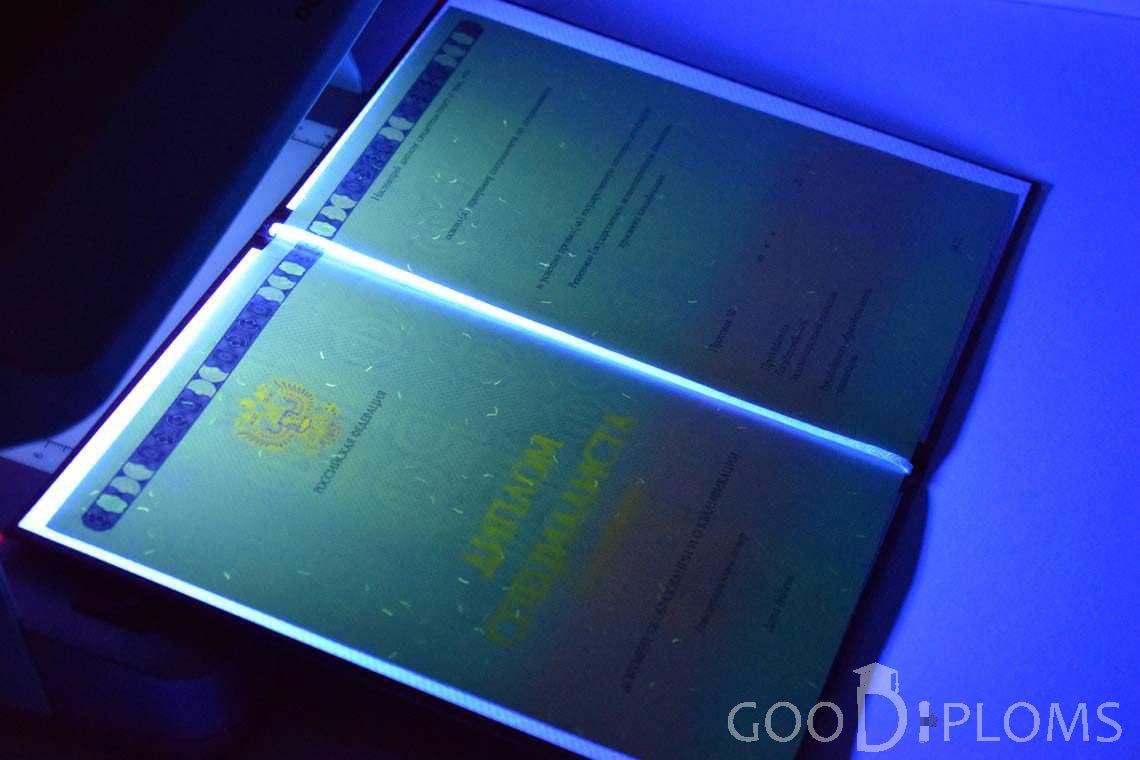 Бланк Диплома о Высшем Образовании с Отличием в Ультрафиолете - Санкт-Петербург